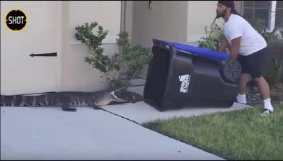  - أمريكي ينقذ جيرانه من تمساح شارد بواسطة حاوية قمامة
